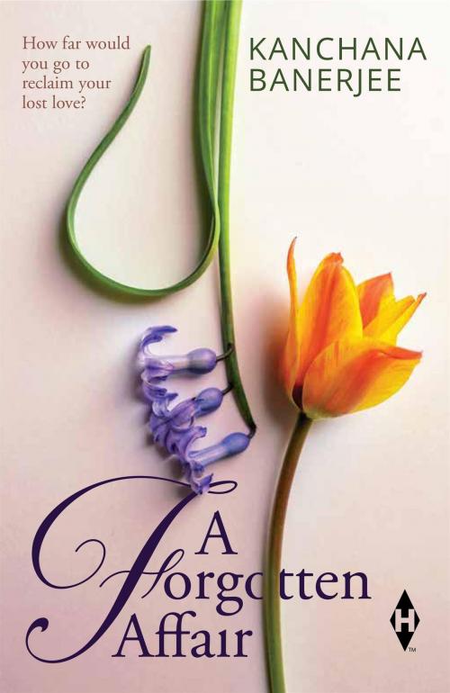 Cover of the book A Forgotten Affair by Kanchana Banerjee, HarperCollins Publishers India