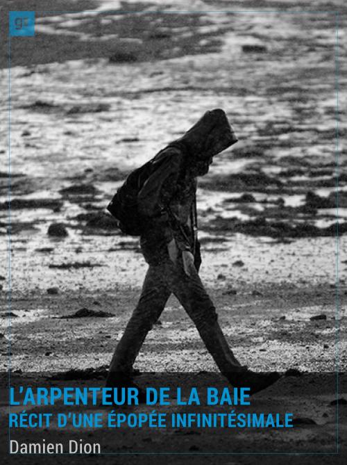 Cover of the book L'Arpenteur de la Baie by Damien Dion, gravitons