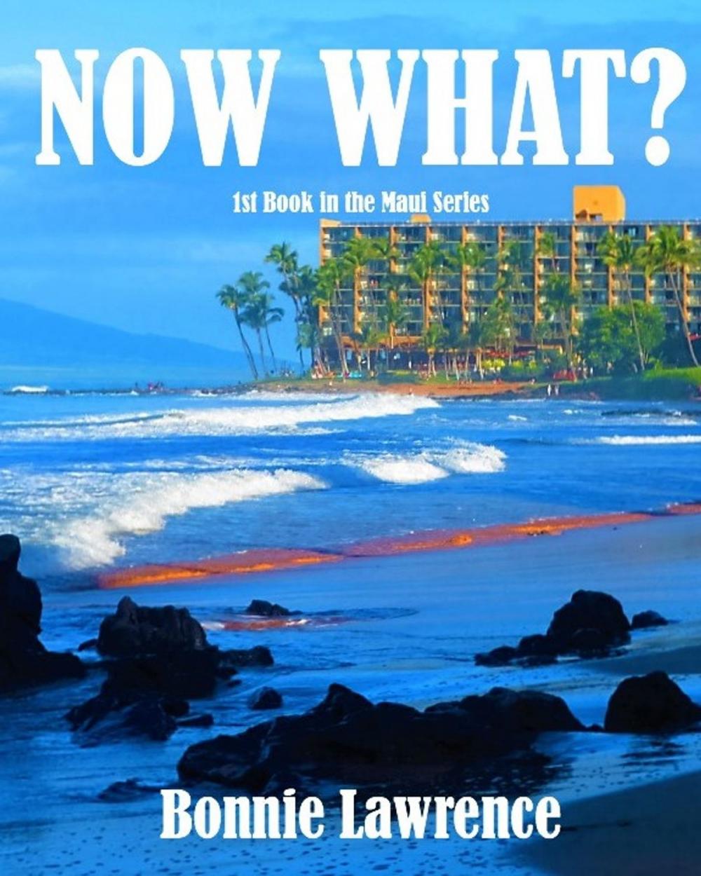 Big bigCover of Now What?