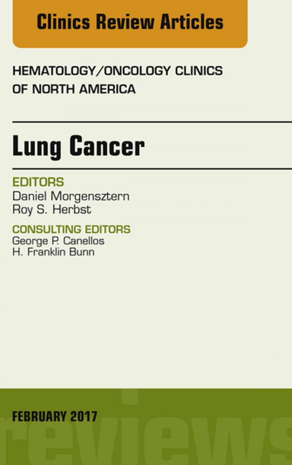 Big bigCover of Lung Cancer, An Issue of Hematology/Oncology Clinics, E-Book