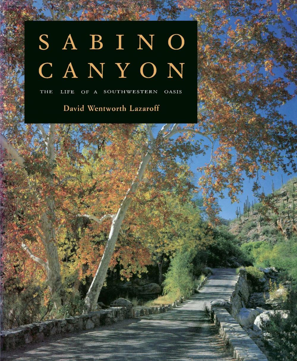 Big bigCover of Sabino Canyon