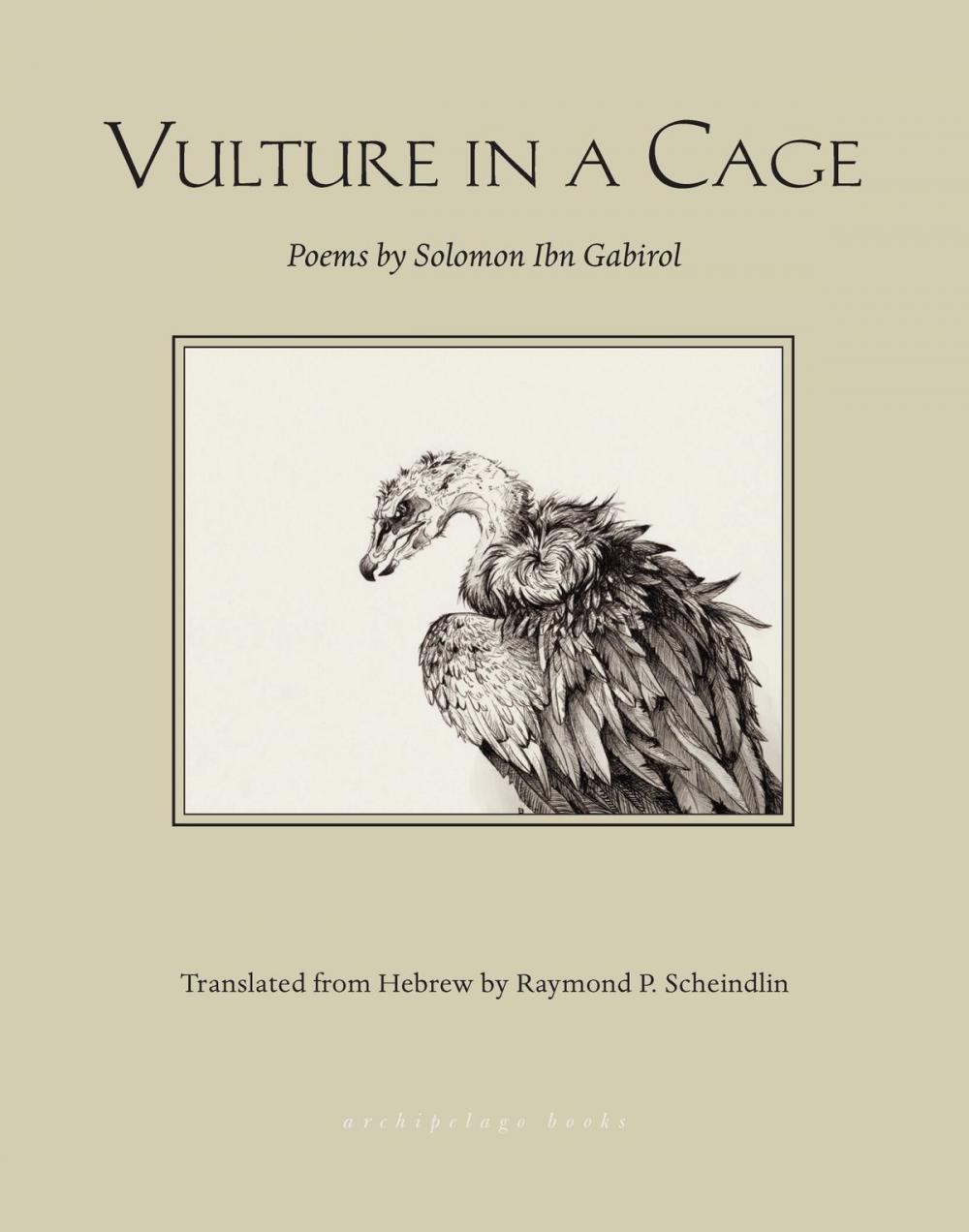 Big bigCover of Vulture in a Cage