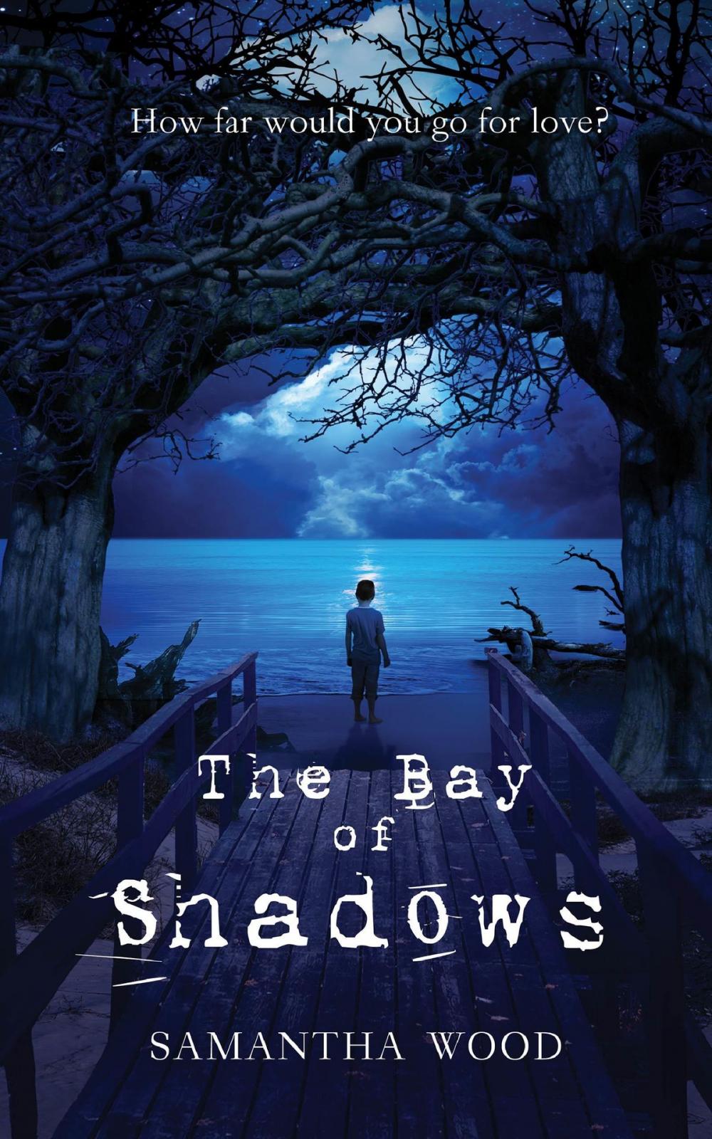 Big bigCover of The Bay of Shadows