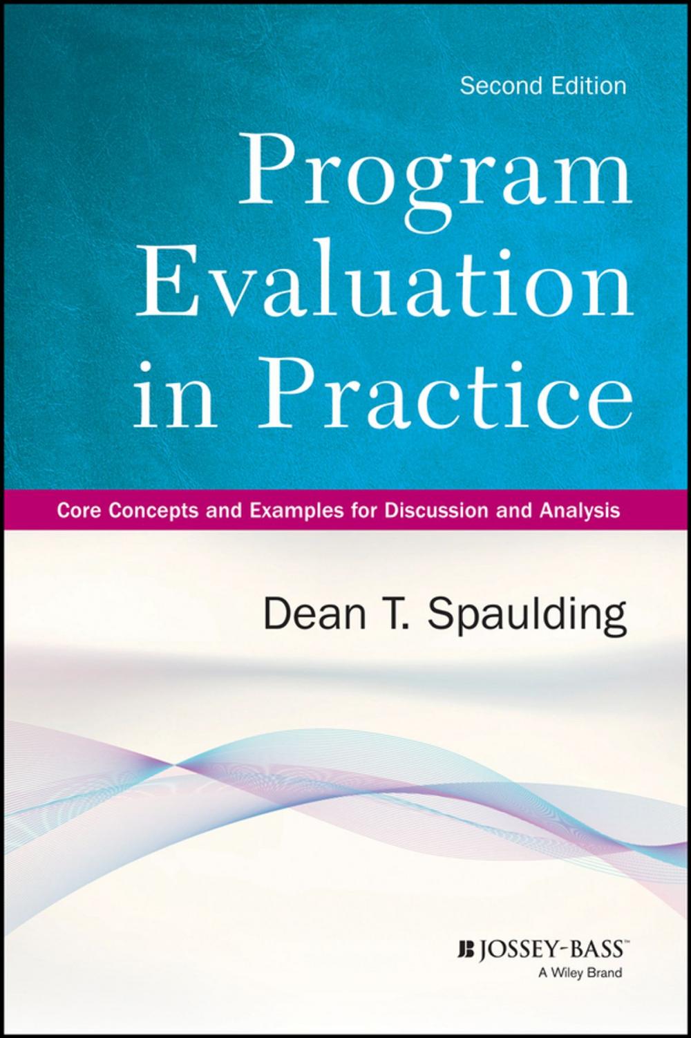 Big bigCover of Program Evaluation in Practice