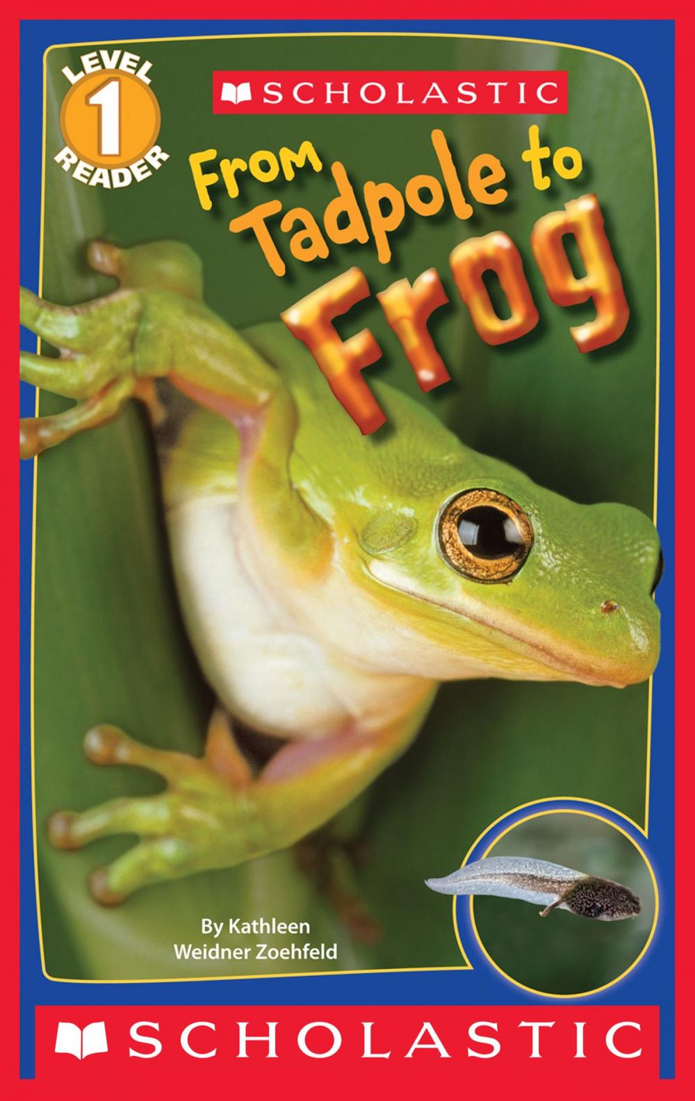 Big bigCover of Scholastic Reader Level 1: From Tadpole to Frog