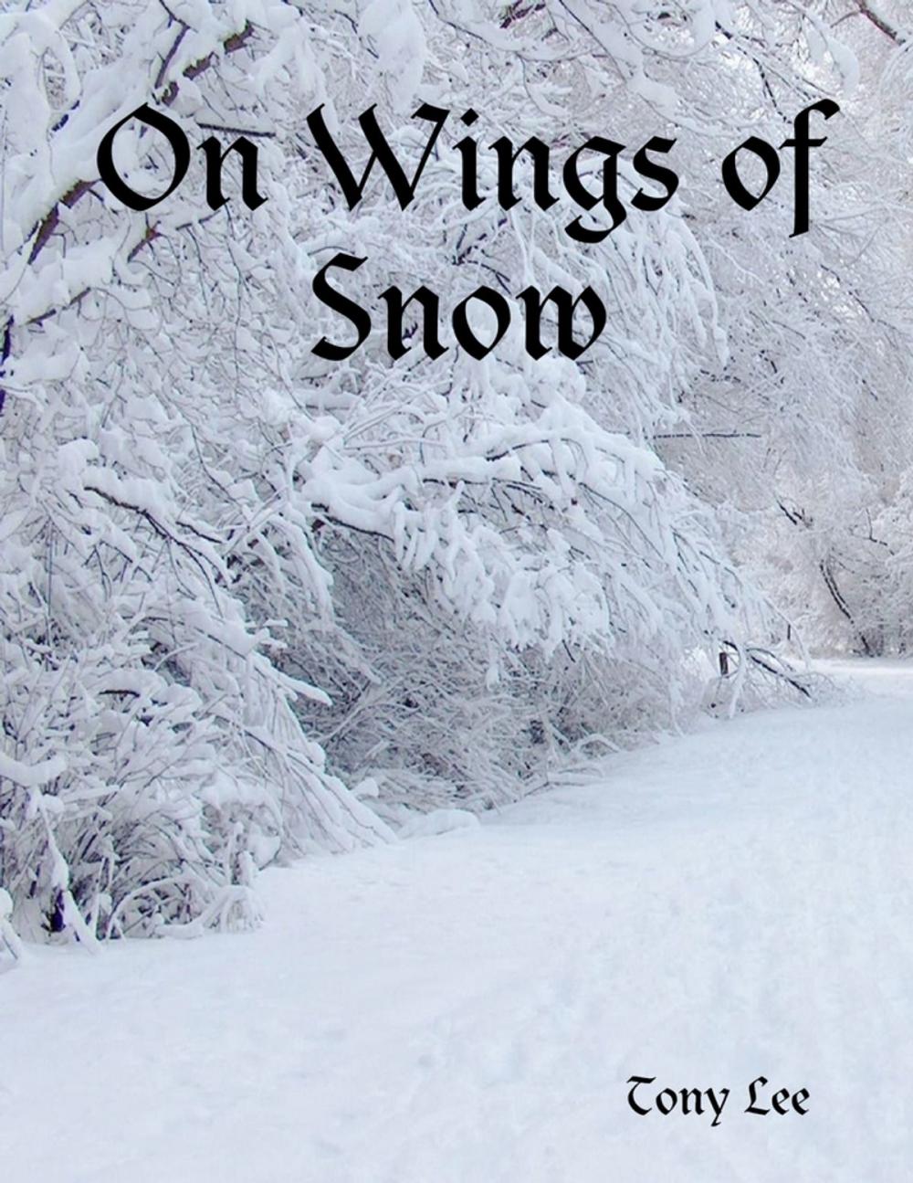 Big bigCover of On Wings of Snow