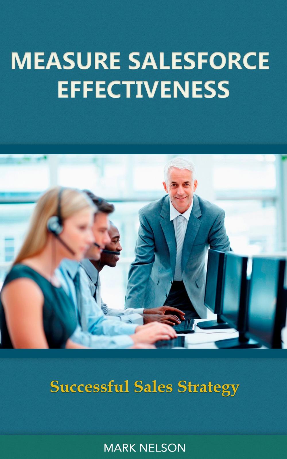 Big bigCover of Measure Salesforce Effectiveness: Successful Sales Strategy