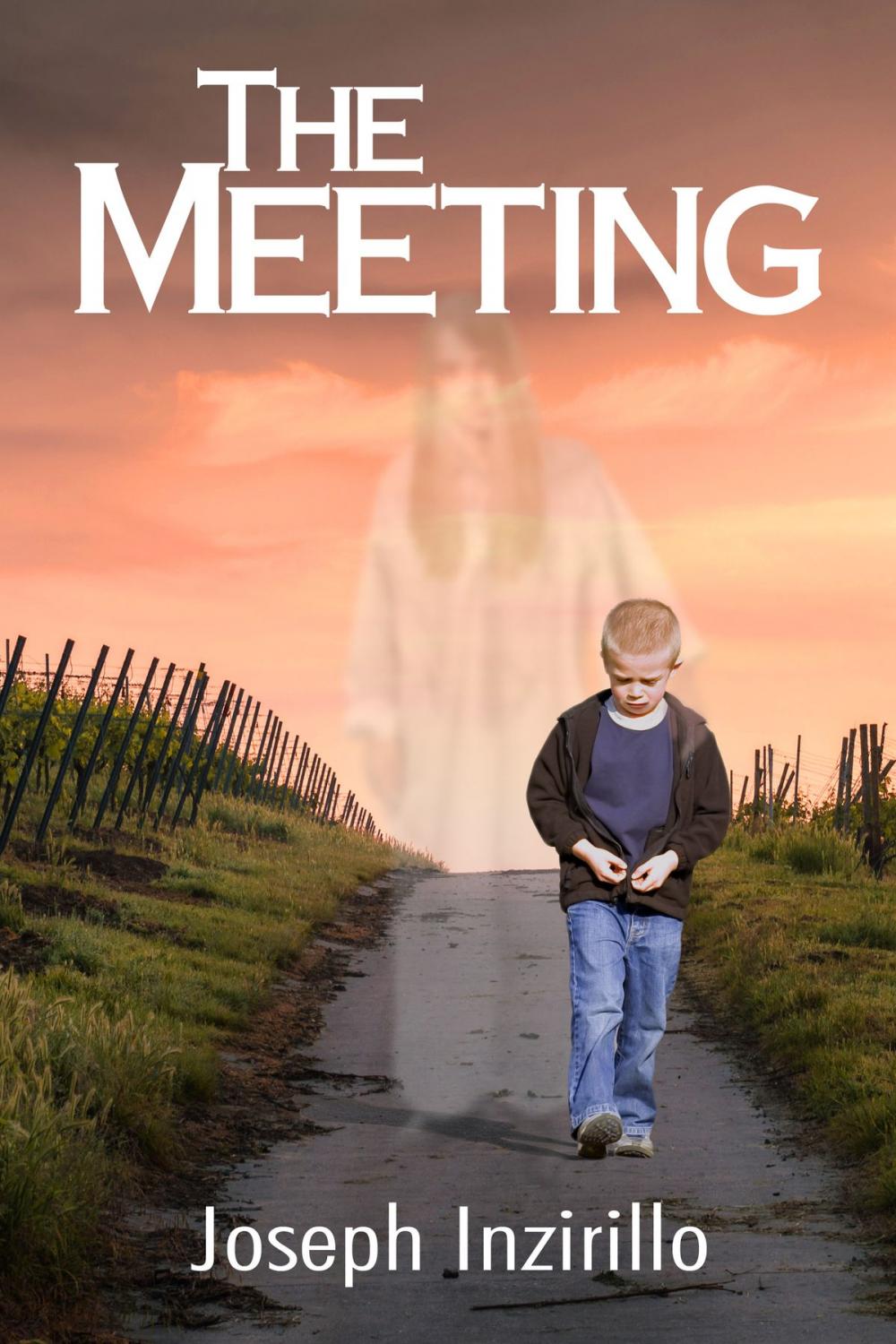 Big bigCover of The Meeting