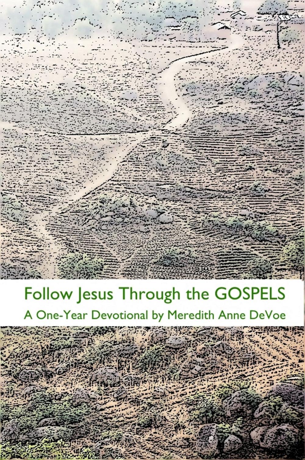 Big bigCover of Follow Jesus Through the Gospels: A One-Year Devotional