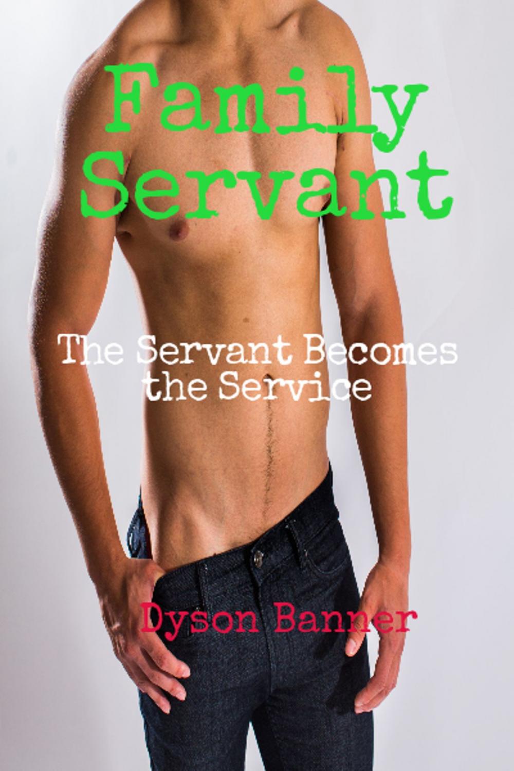 Big bigCover of Family Servant The Servant Becomes the Service