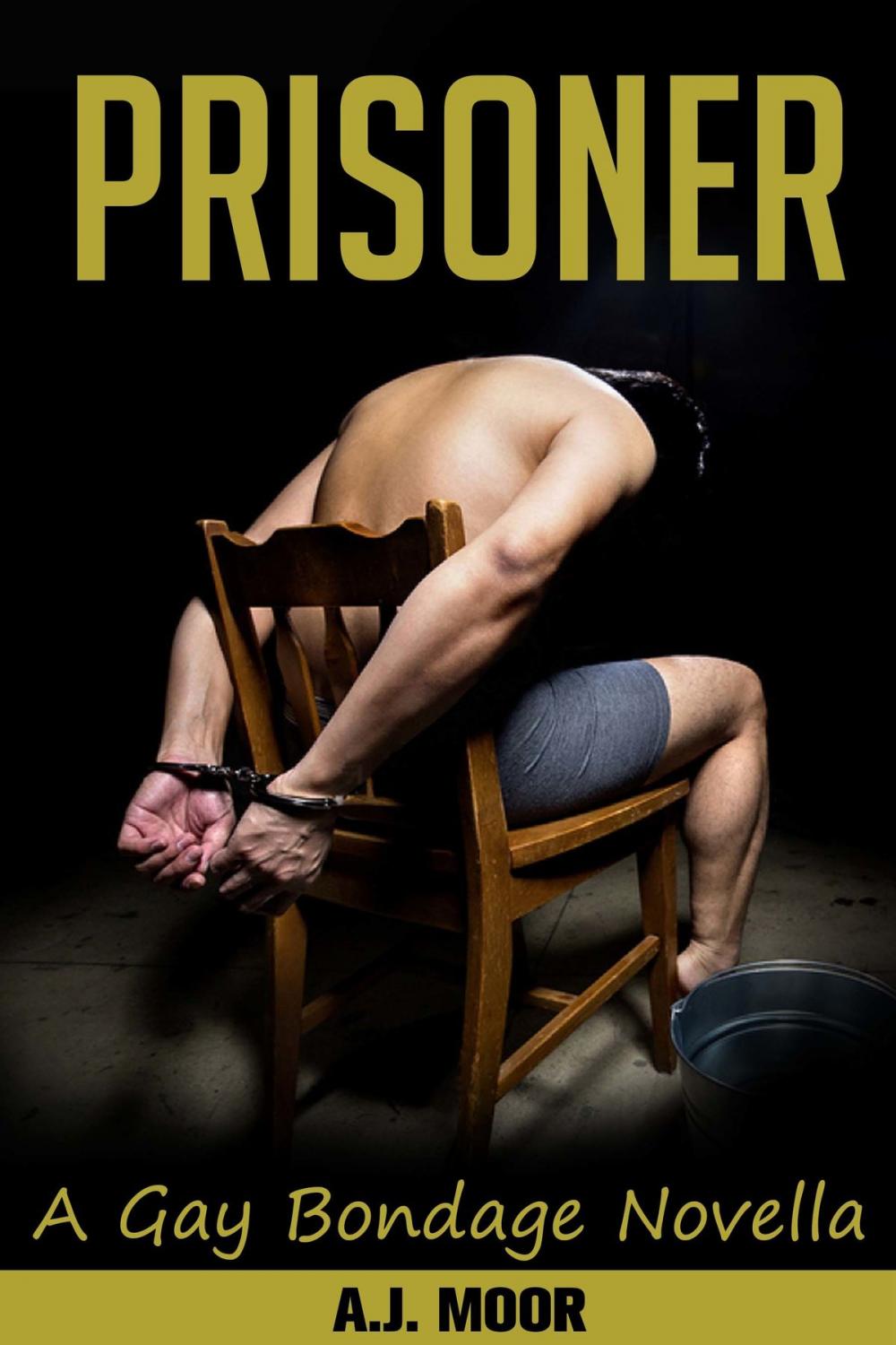 Big bigCover of Prisoner: A Gay Bondage Novella