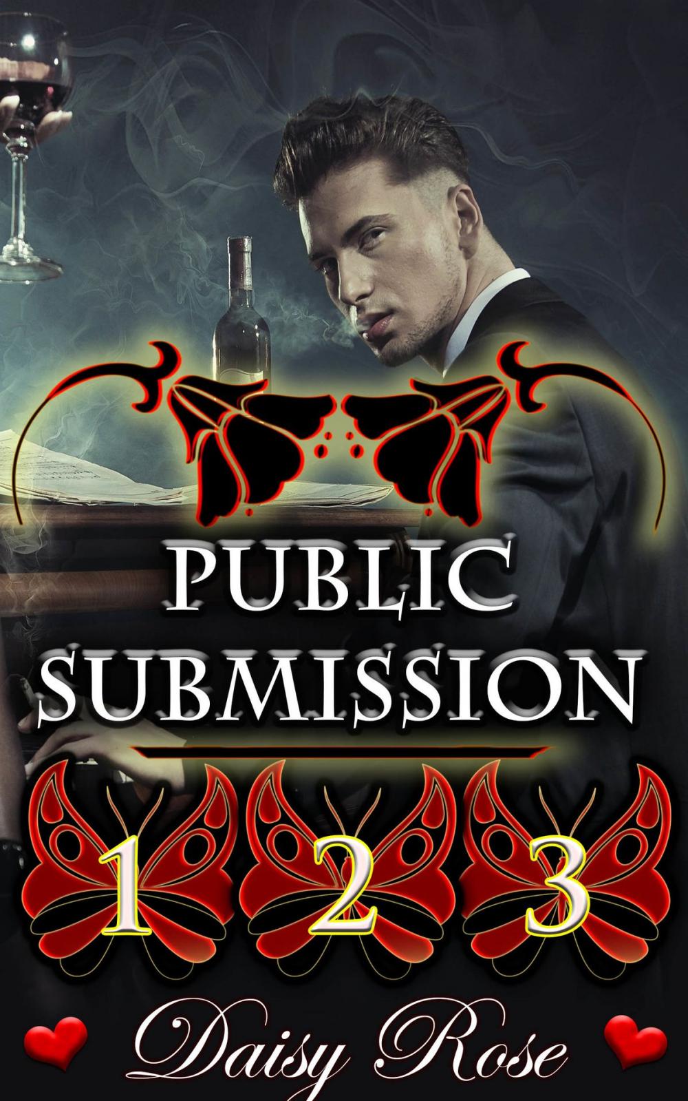 Big bigCover of Public Submission 1: 3
