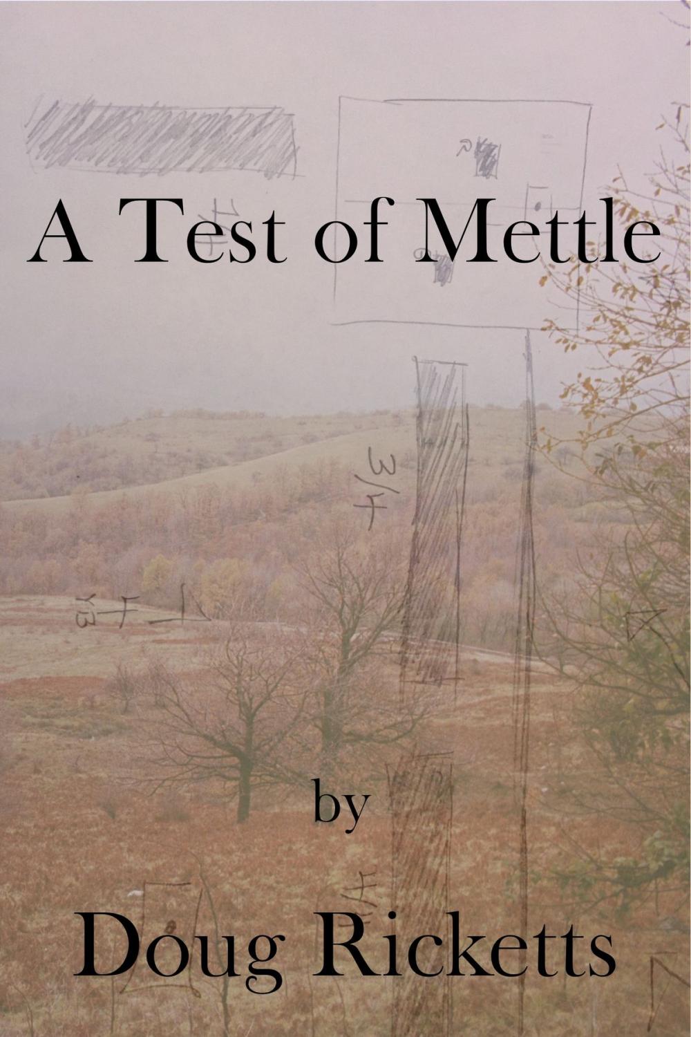 Big bigCover of A Test of Mettle