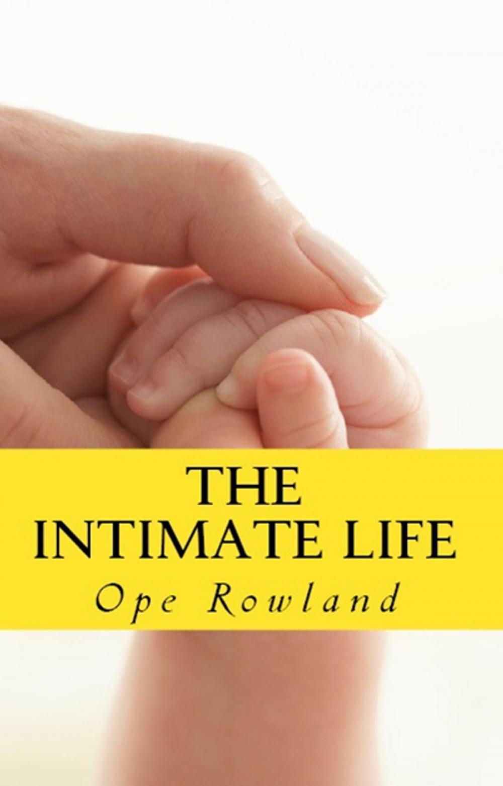 Big bigCover of The Intimate Life