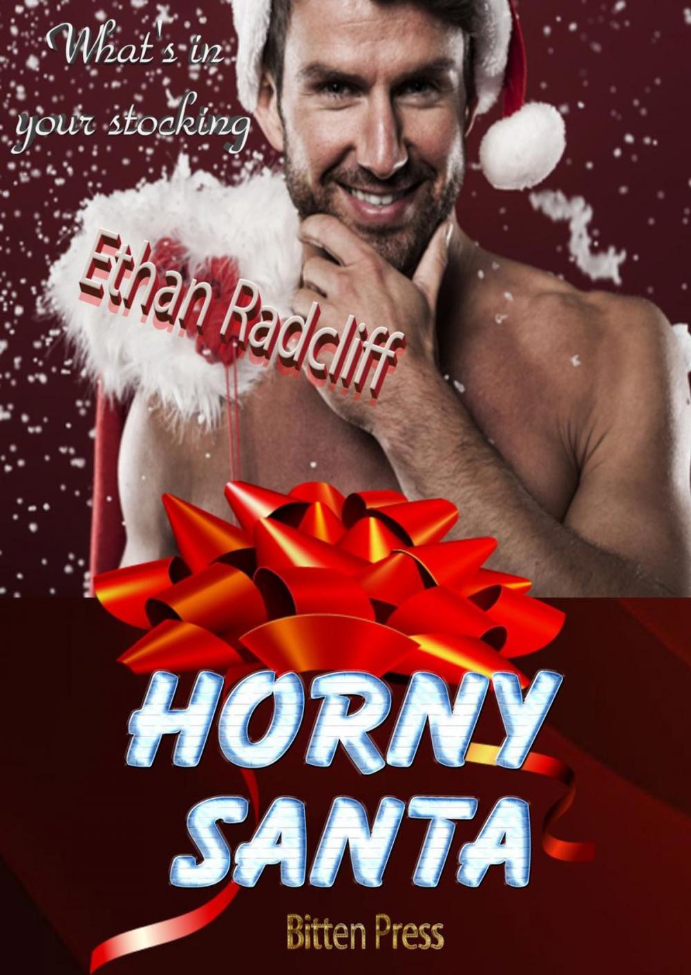 Big bigCover of Horny Santa