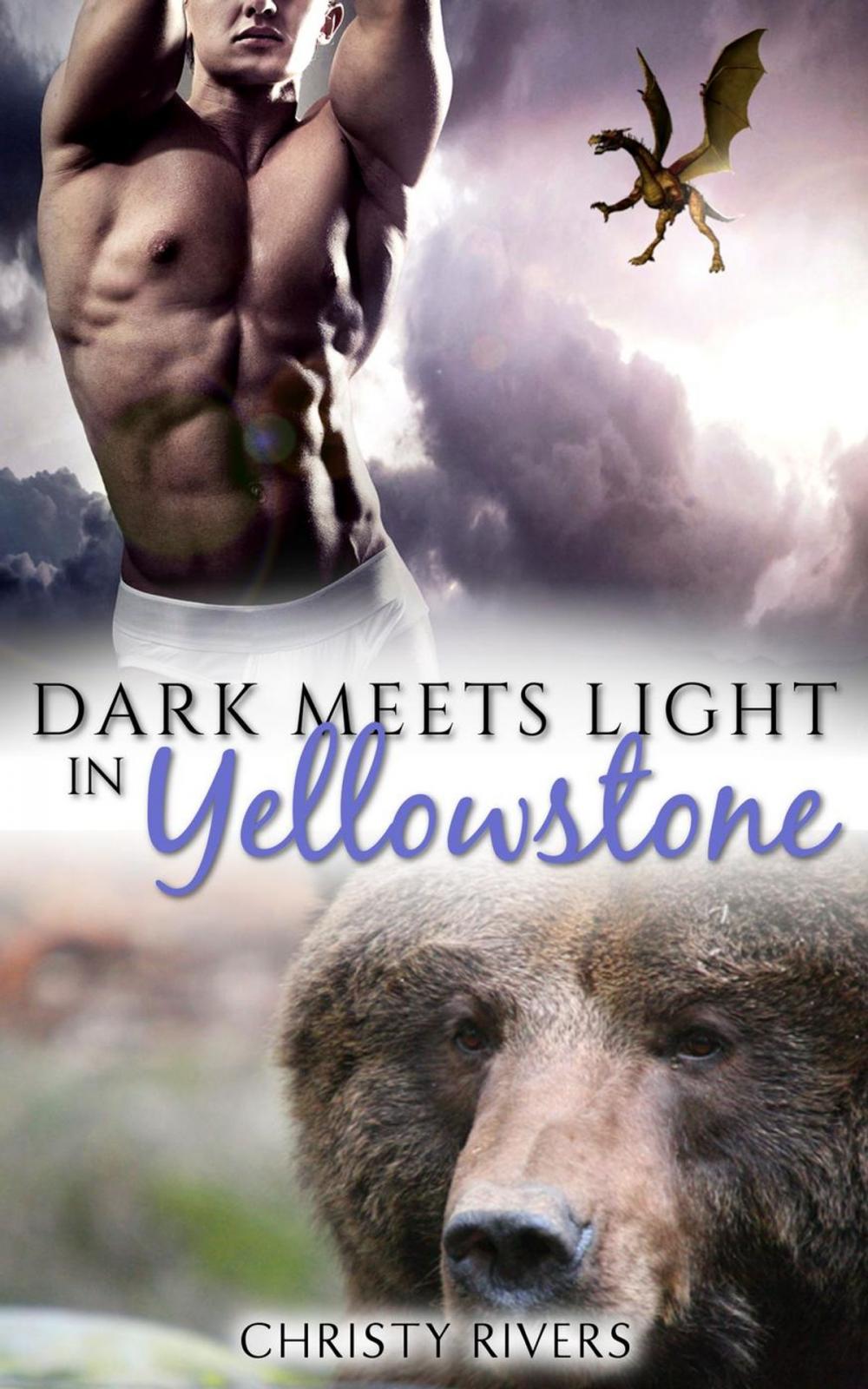 Big bigCover of Dark Meets Light in Yellowstone