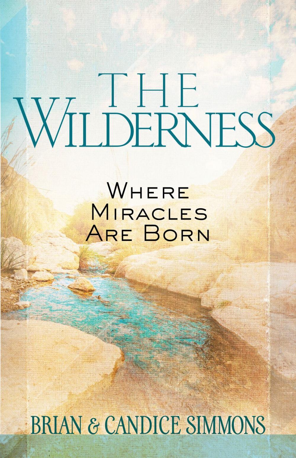 Big bigCover of The Wilderness