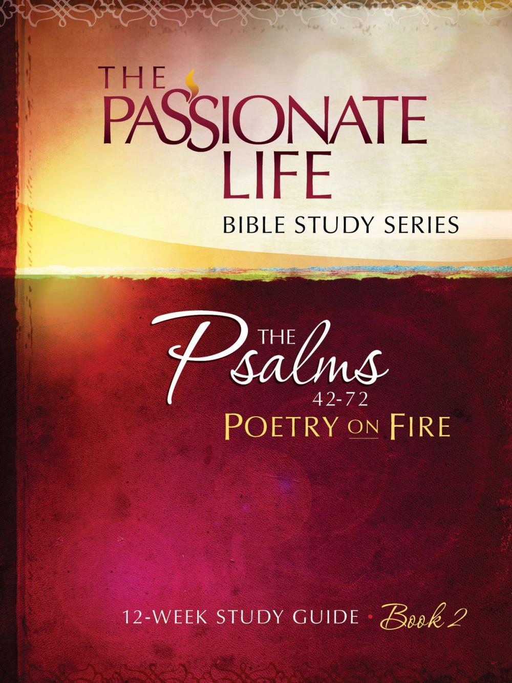 Big bigCover of Psalms: Poetry on Fire Book Two 12-week Study Guide