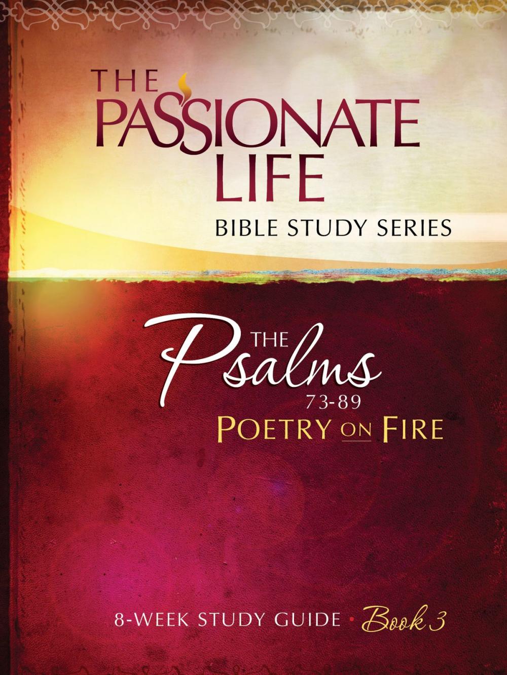 Big bigCover of Psalms: Poetry on Fire Book Three 8-week Study Guide