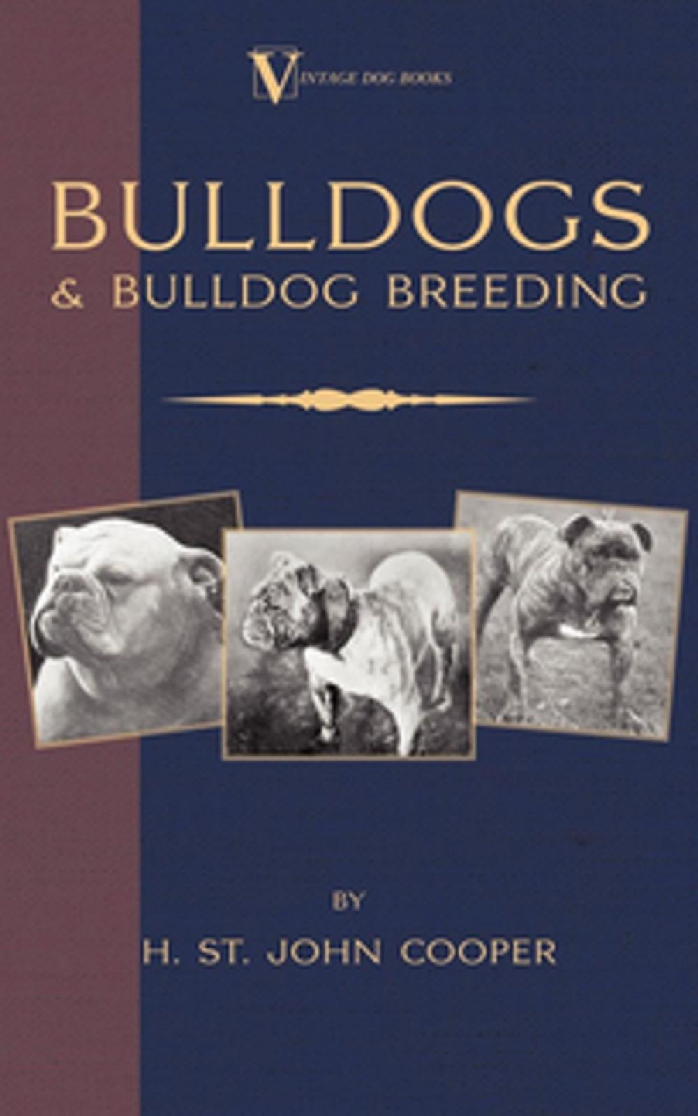 Big bigCover of Bulldogs and Bulldog Breeding (A Vintage Dog Books Breed Classic)