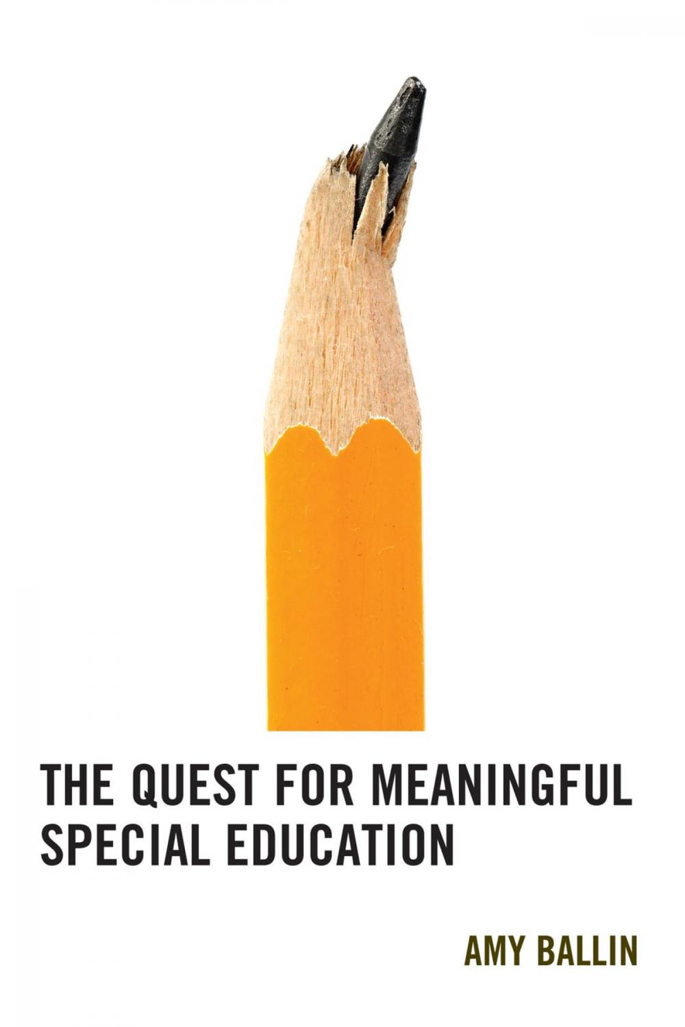 Big bigCover of The Quest for Meaningful Special Education