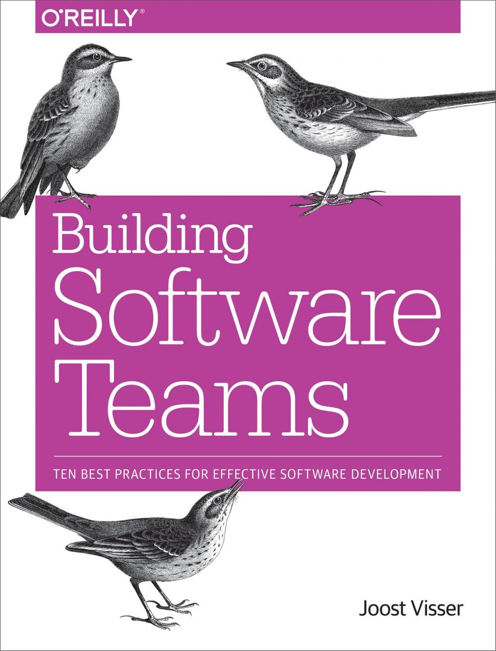 Big bigCover of Building Software Teams