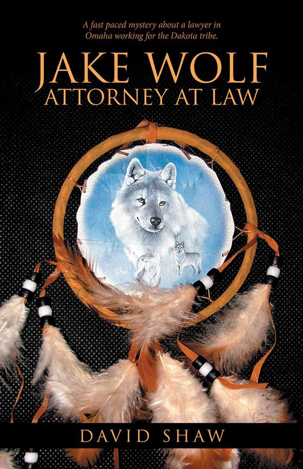 Big bigCover of Jake Wolf Attorney at Law