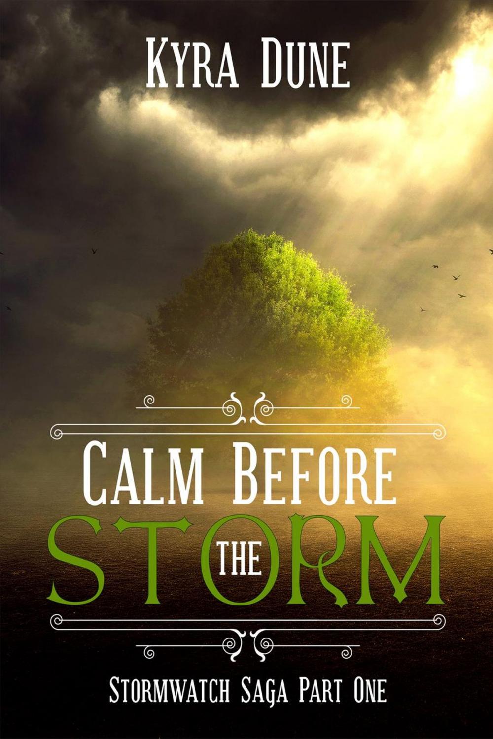 Big bigCover of Calm Before The Storm