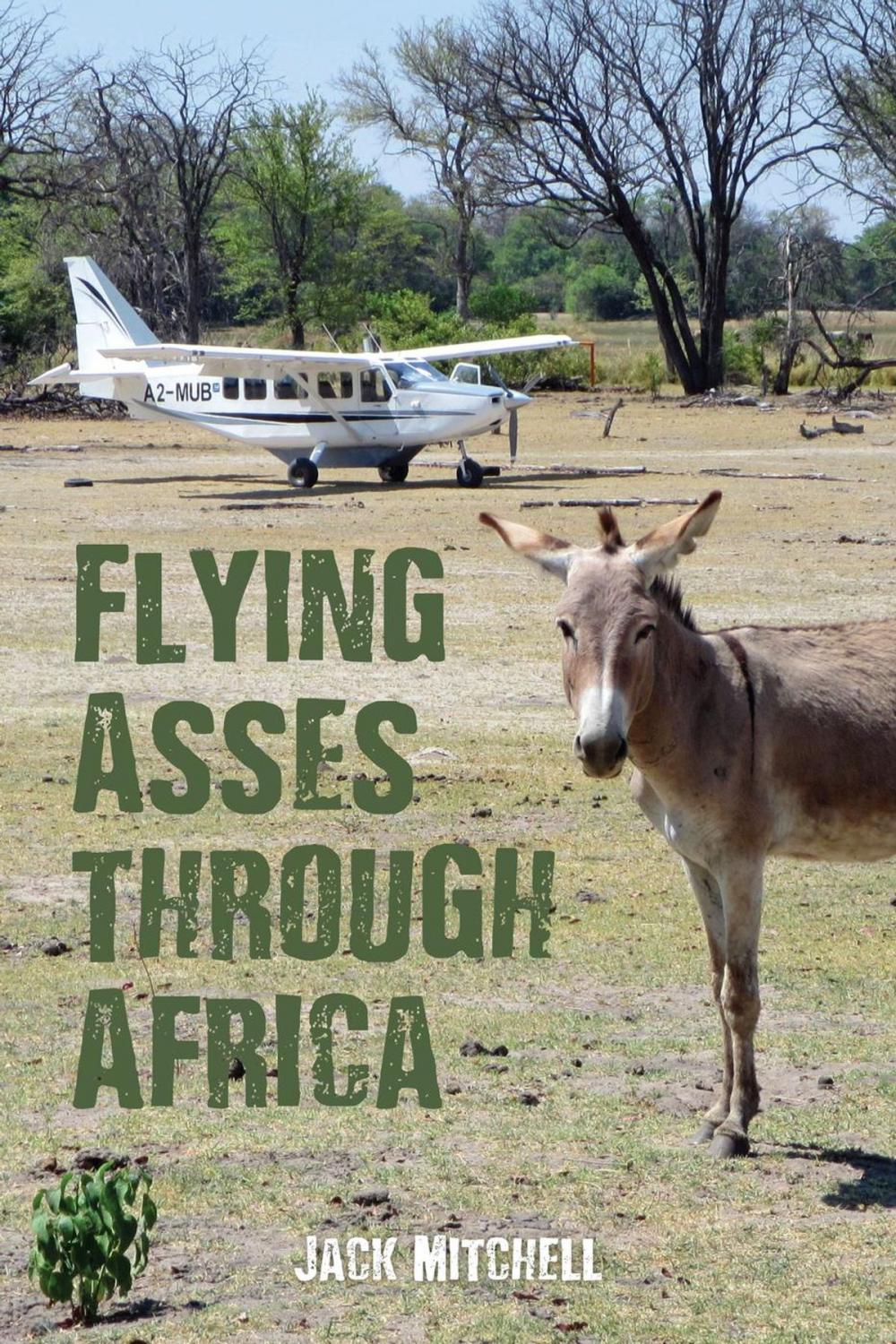 Big bigCover of Flying Asses Through Africa