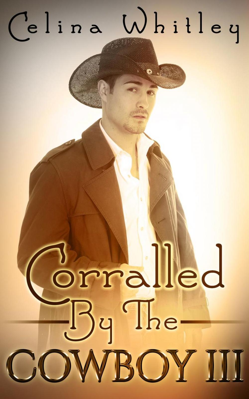 Big bigCover of Corralled by the Cowboy: 3