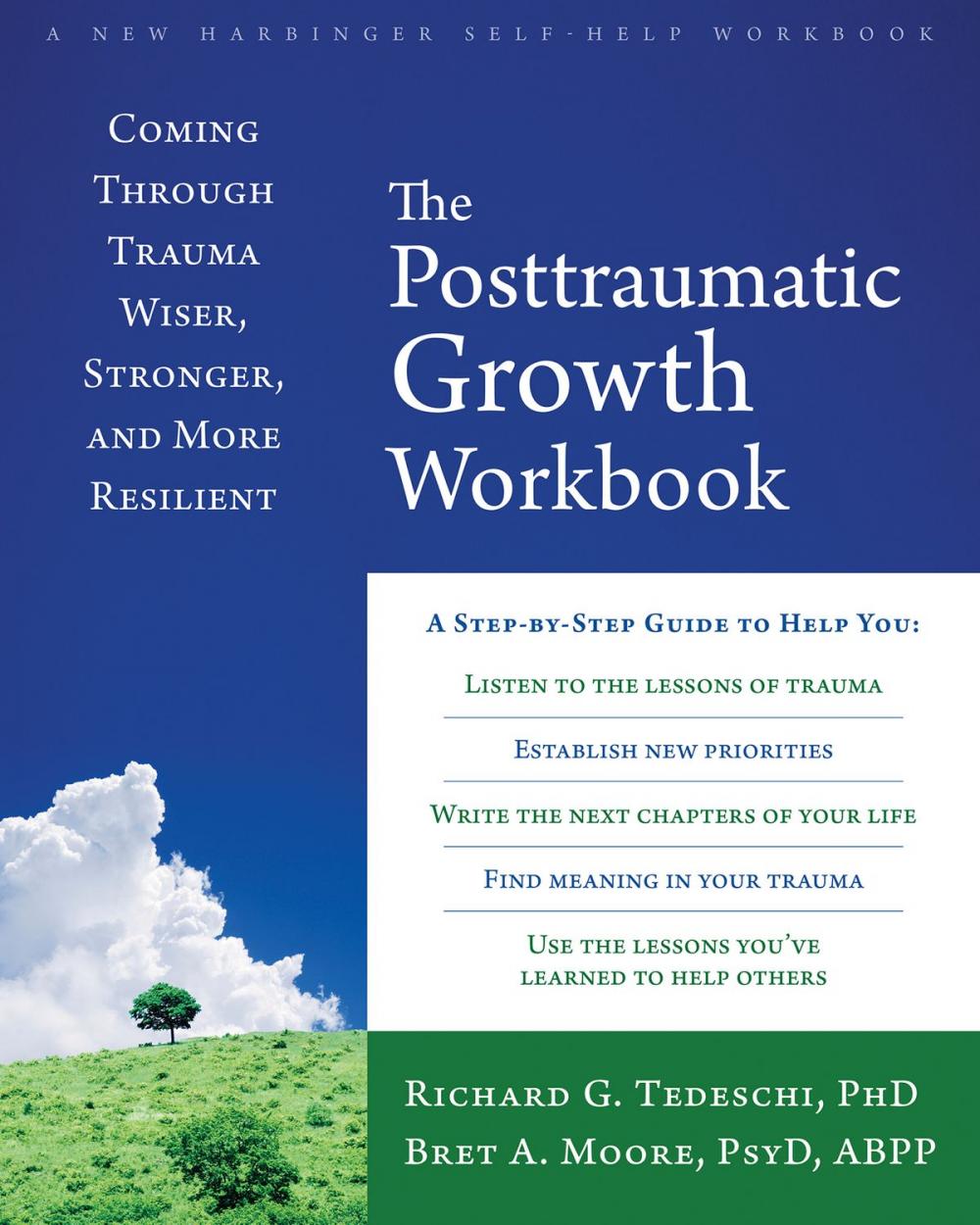 Big bigCover of The Posttraumatic Growth Workbook