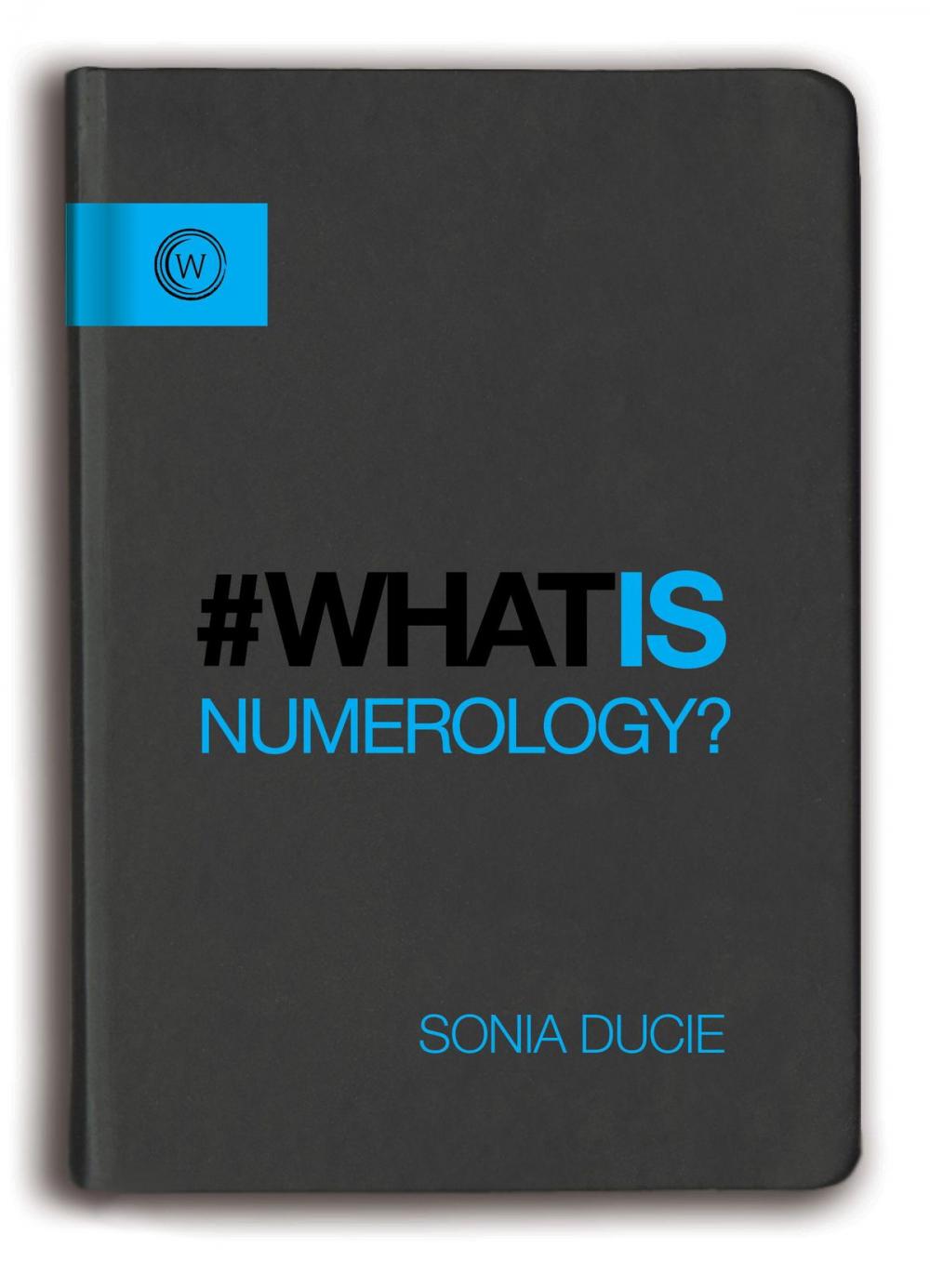 Big bigCover of What is Numerology?