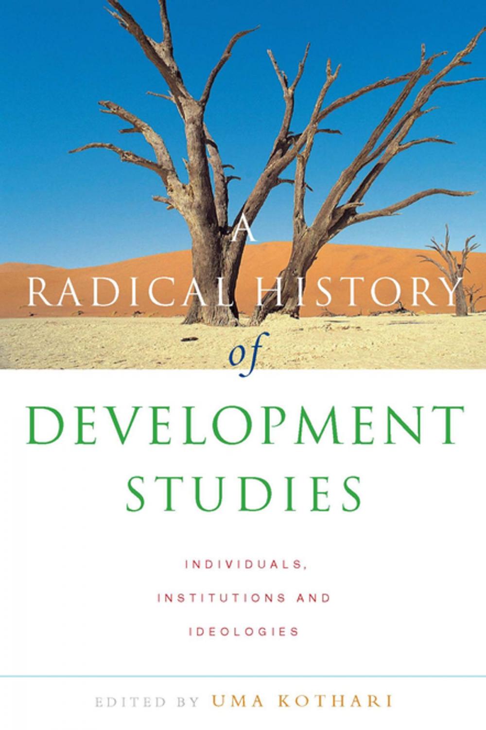 Big bigCover of A Radical History of Development Studies