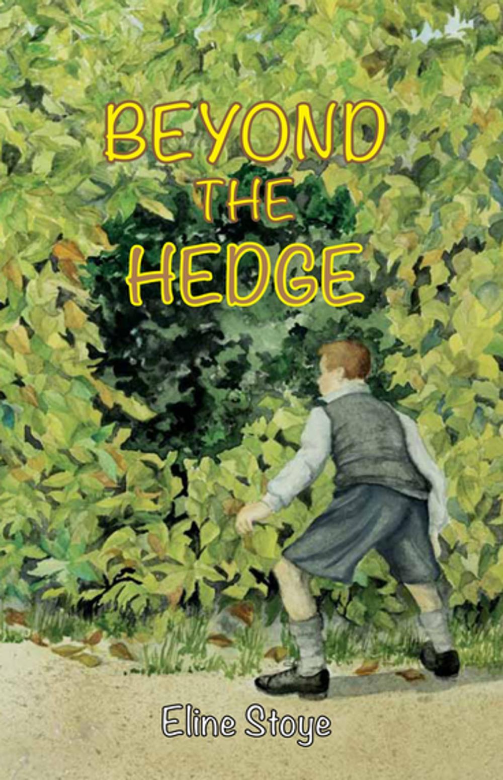 Big bigCover of Beyond the Hedge