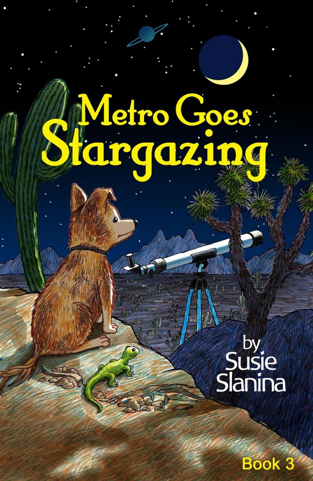Big bigCover of Metro Goes Stargazing