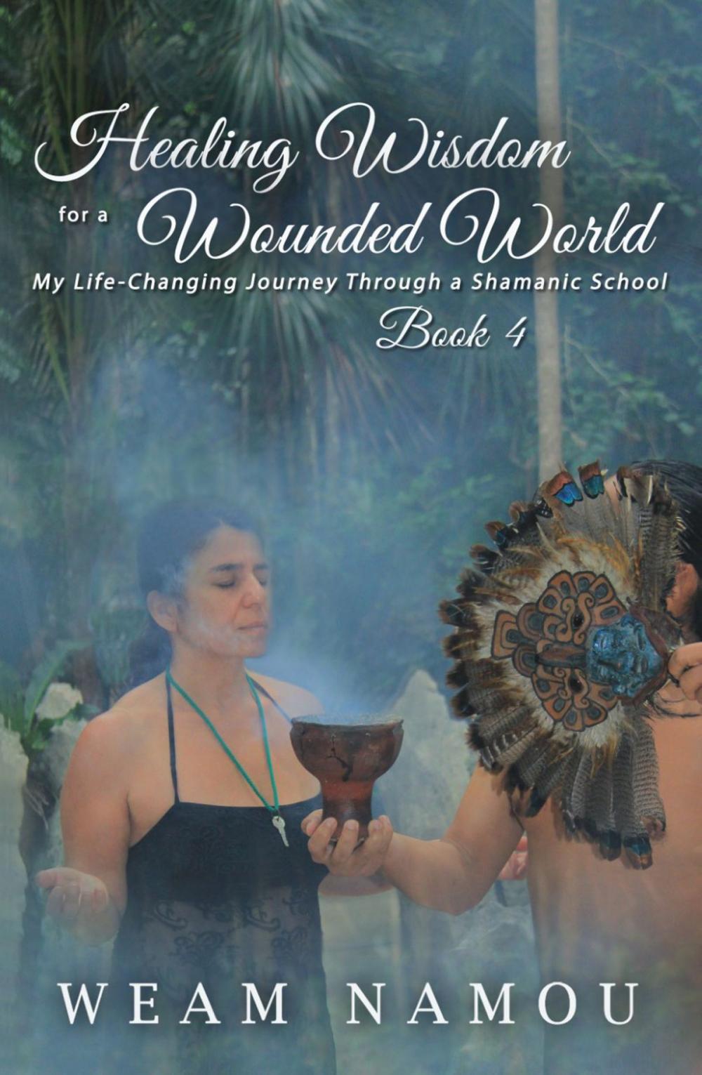 Big bigCover of Healing Wisdom for a Wounded World: My Life-Changing Journey Through a Shamanic School (Book 4)