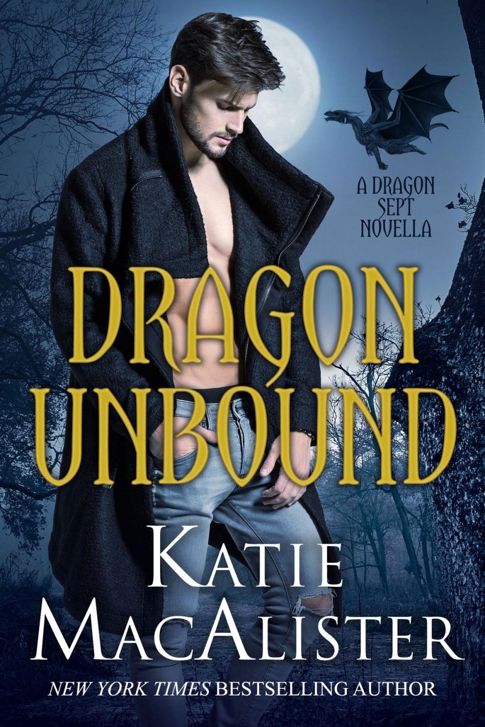 Big bigCover of Dragon Unbound