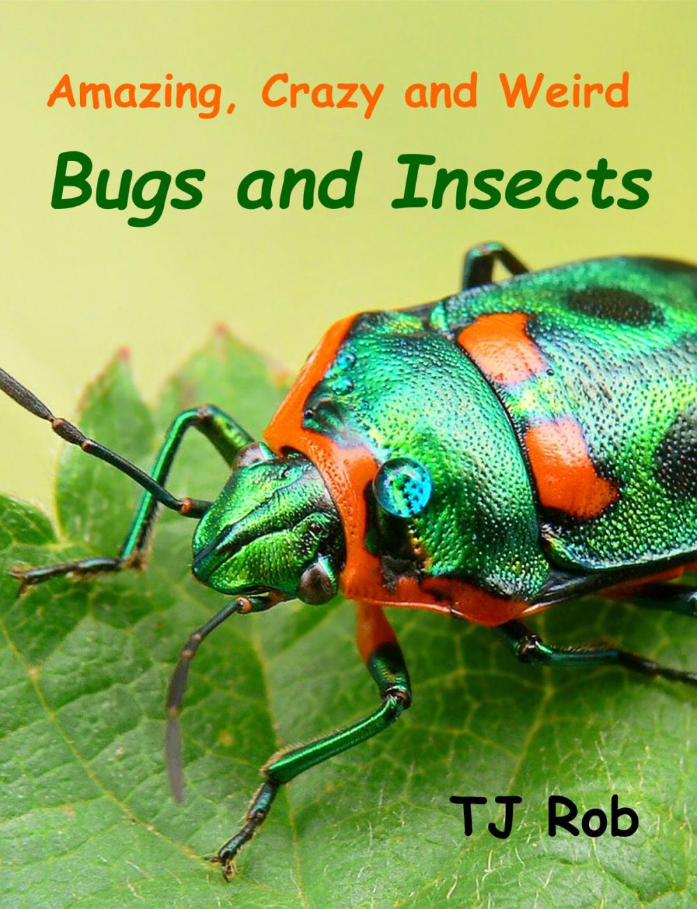 Big bigCover of Amazing, Crazy and Weird Bugs and Insects
