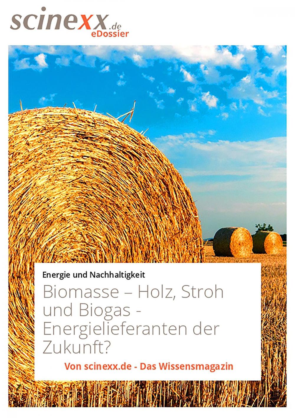 Big bigCover of Biomasse
