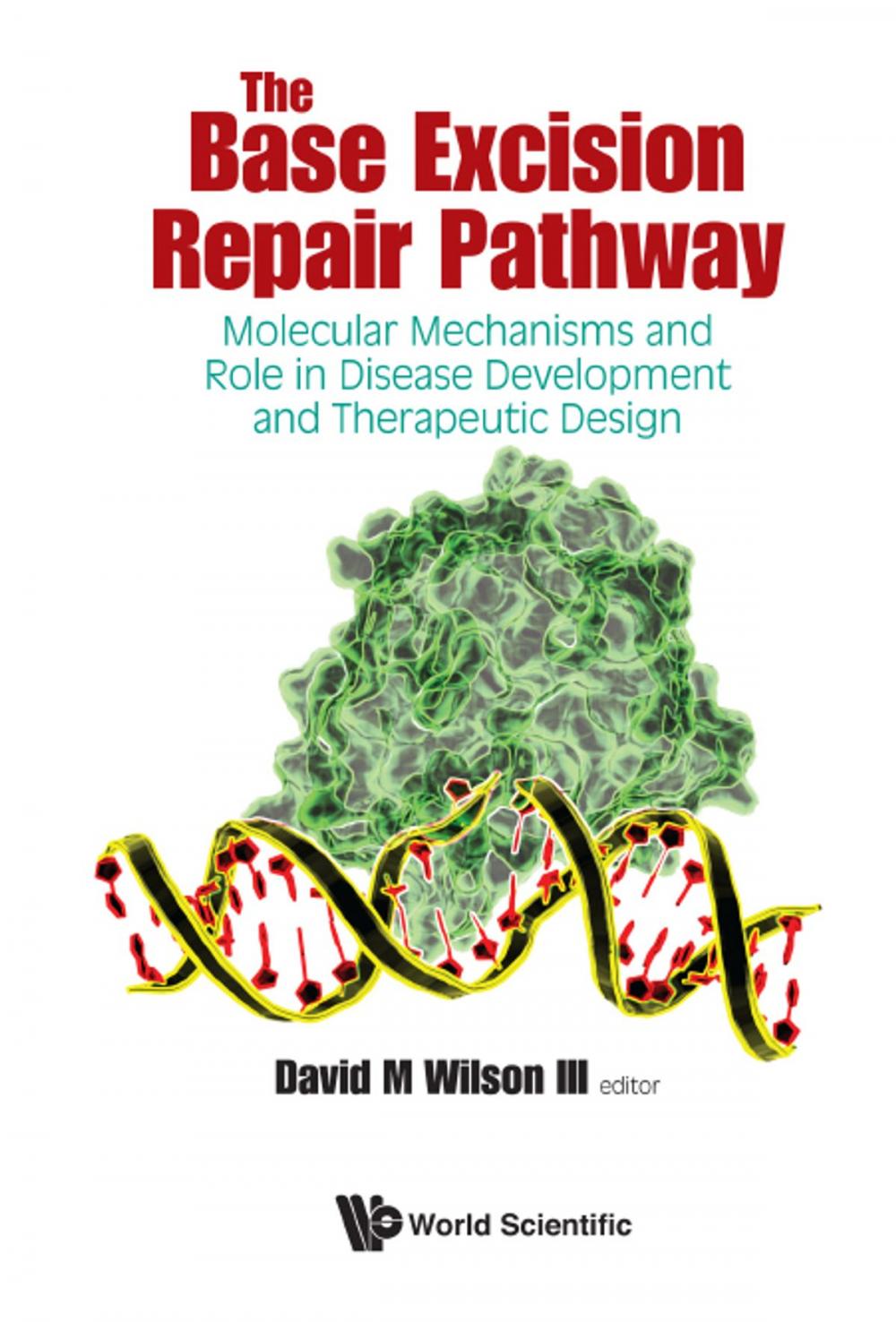 Big bigCover of The Base Excision Repair Pathway