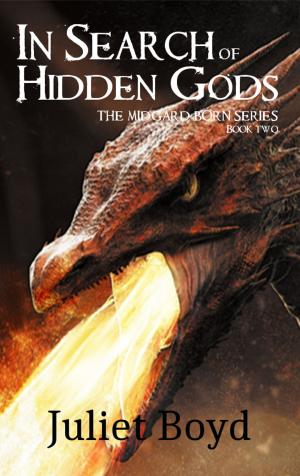 Cover of the book In Search of Hidden Gods by Juliet Boyd