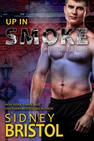 Cover of the book Up in Smoke by Laurie Ryan