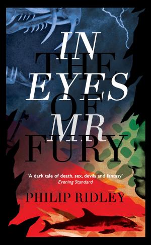 Cover of the book In the Eyes of Mr Fury by J. B. Priestley, Orrin Grey