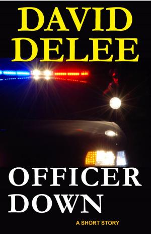 Cover of the book Officer Down by Kimber Grey