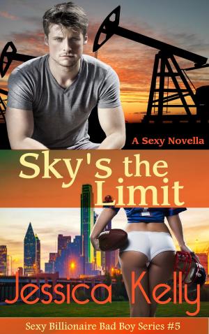 Cover of the book Sky's The Limit by Tina Wainscott, Jaime Rush