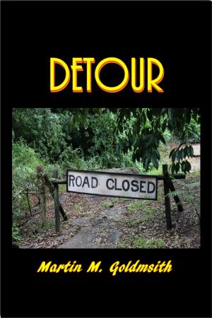 Cover of the book Detour by William J. Locke