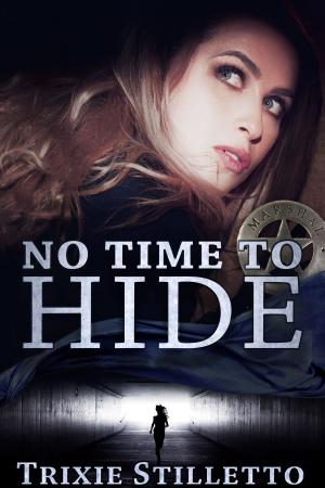 Cover of the book No Time to Hide by Kat Nichols