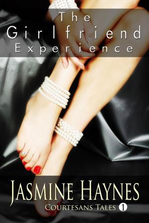 bigCover of the book The Girlfriend Experience by 