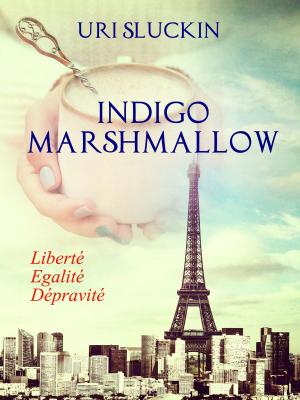 Cover of the book Indigo Marshmallow by Stephen Chandler