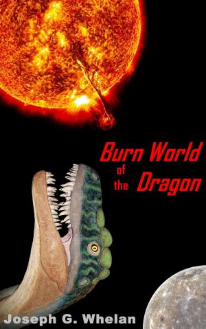Cover of Burn World of the Dragon